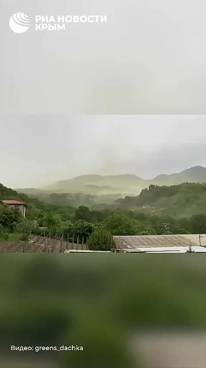 Аллергики, держитесь – на ЮБК сосновый апокалипсис!