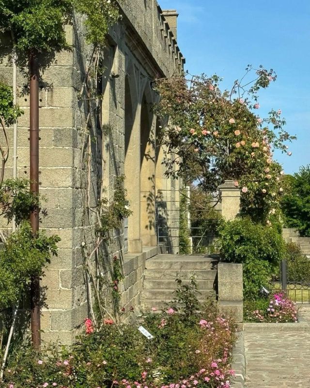 ������������ ������ � ������