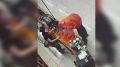 Полицейскими Симферополя задержан местный житель за кражу дорогостоящего алкоголя