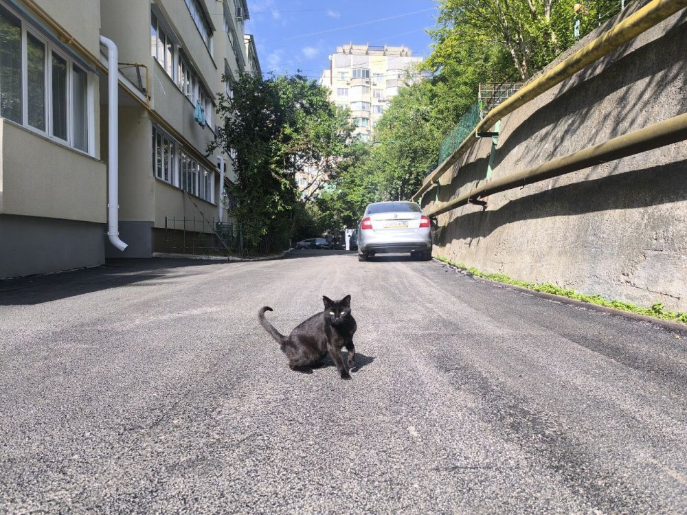 � ���� ������������ ���������������