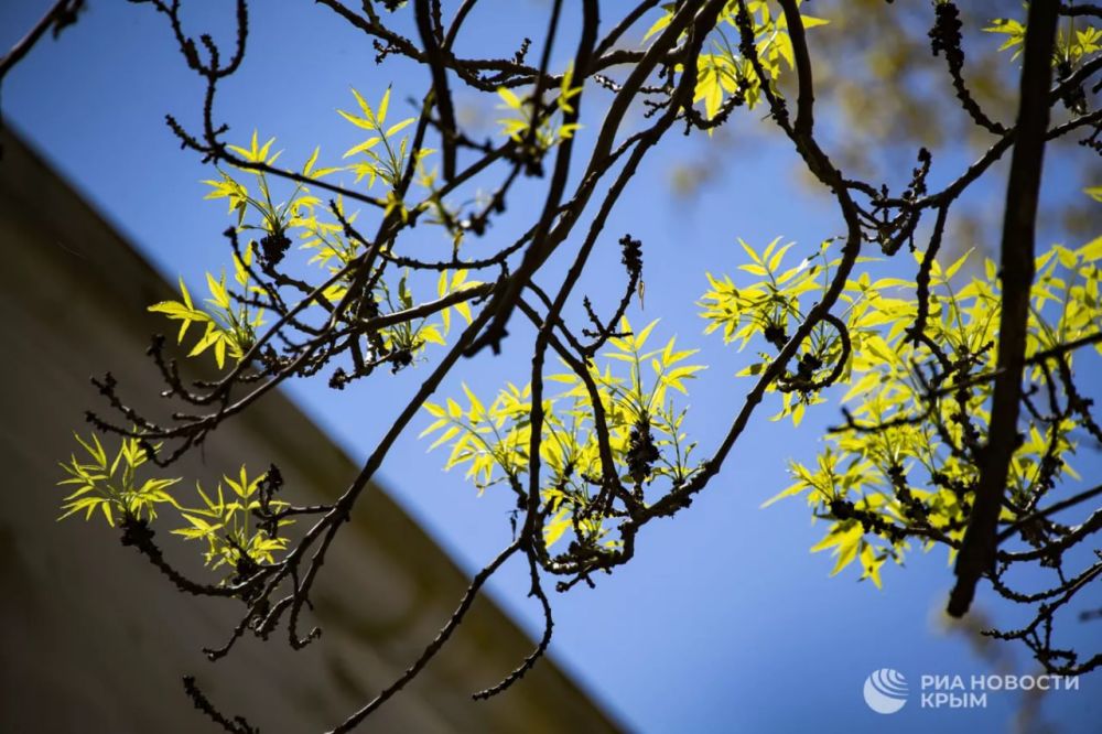 ������� ������ � ����� �� �����