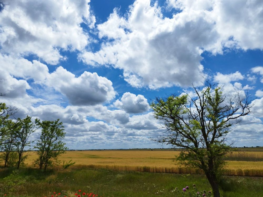 ������� ������ � ����� �� 29 ���