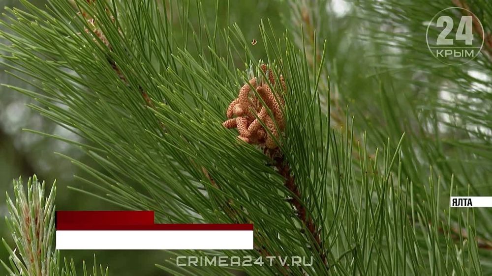    :        
