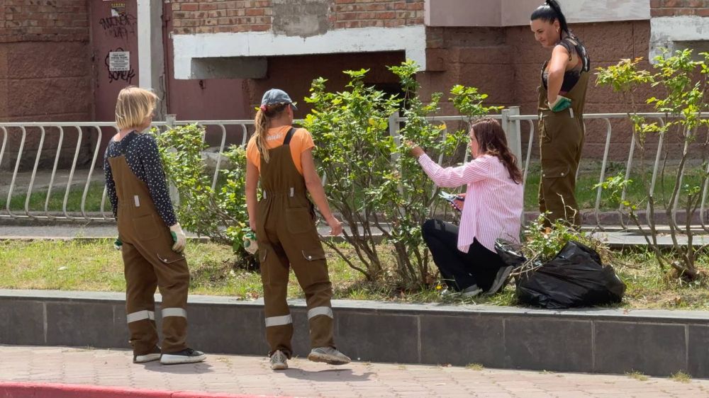 Сотрудники зеленхоза Керчи выполняют ежедневную работу по уходу за растениями Сотрудники зеленхоза Керчи выполняют ежедневную работу по уходу за растениями