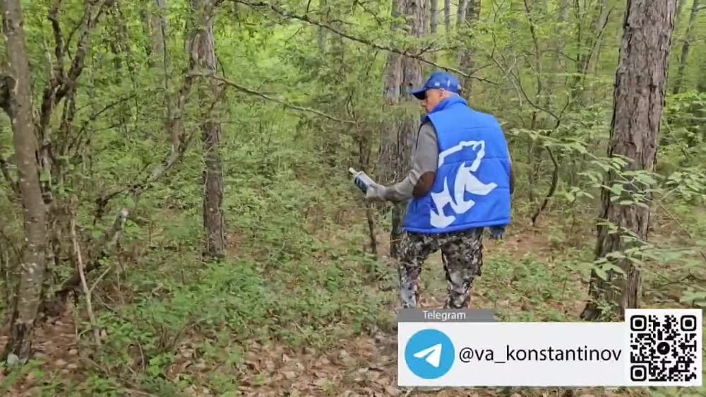 Владимир Константинов: В городах и районах Крыма прошла масштабная экологическая акция в рамках проекта «Единой России» «Чистый Крым»