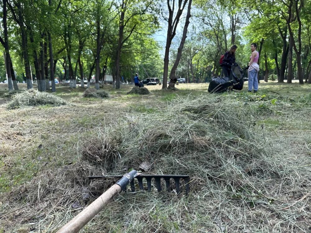 Керчь присоединилась к акции в рамках проекта «Чистый Крым» Керчь присоединилась к акции в рамках проекта «Чистый Крым»