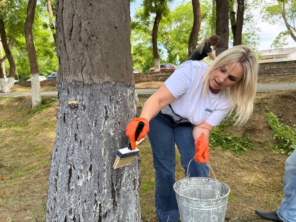 Керчь присоединилась к акции в рамках проекта «Чистый Крым» Керчь присоединилась к акции в рамках проекта «Чистый Крым»
