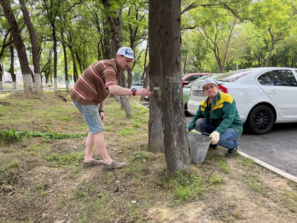 Керчь присоединилась к акции в рамках проекта «Чистый Крым» Керчь присоединилась к акции в рамках проекта «Чистый Крым»