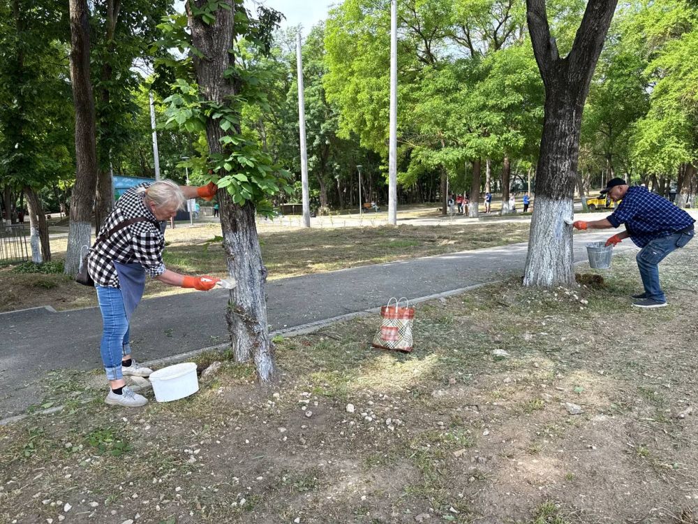 Керчь присоединилась к акции в рамках проекта «Чистый Крым» Керчь присоединилась к акции в рамках проекта «Чистый Крым»