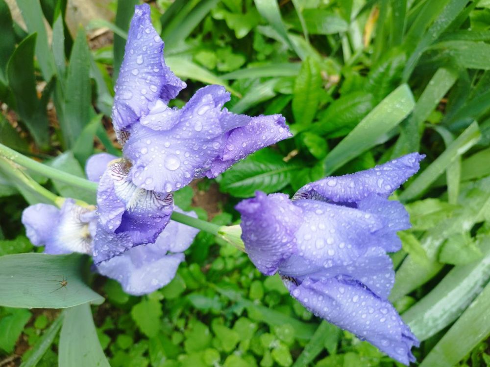 ������� ������ � ����� �� 31 ���