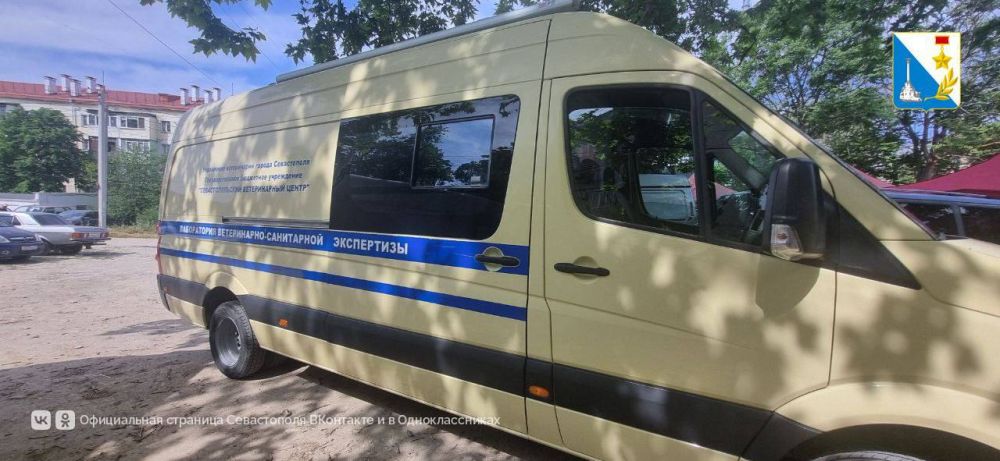 Работают ярмарки «Выходного дня» Работают ярмарки «Выходного дня»