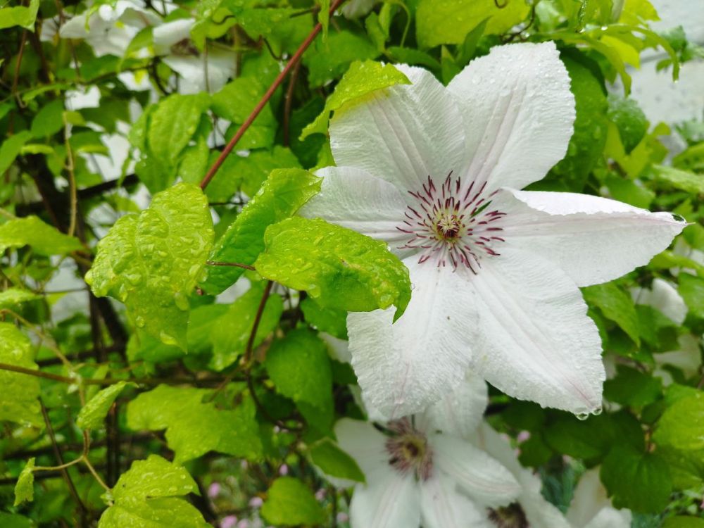 ������� ������ � ����� �� 1 ����