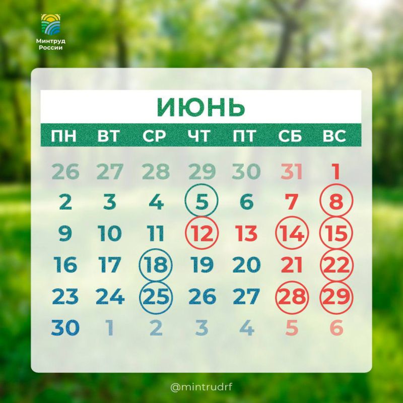 ����� ������: ������� � ������� #PRO���� ����� ��������� ������� ��������