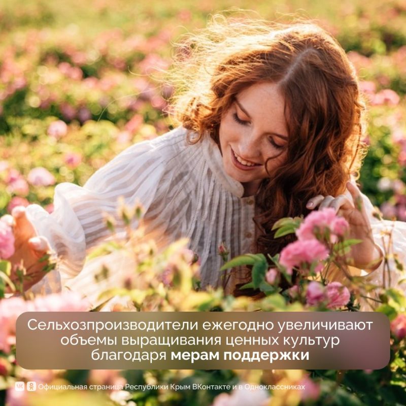 Эфиромасличной отрасли Крыма — 95 лет Эфиромасличной отрасли Крыма — 95 лет