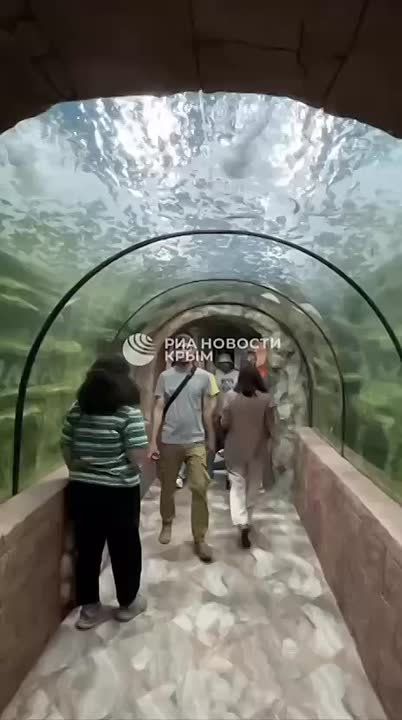 Новый океанариум в Ялте удивляет как морскими обитателями, так и оформлением