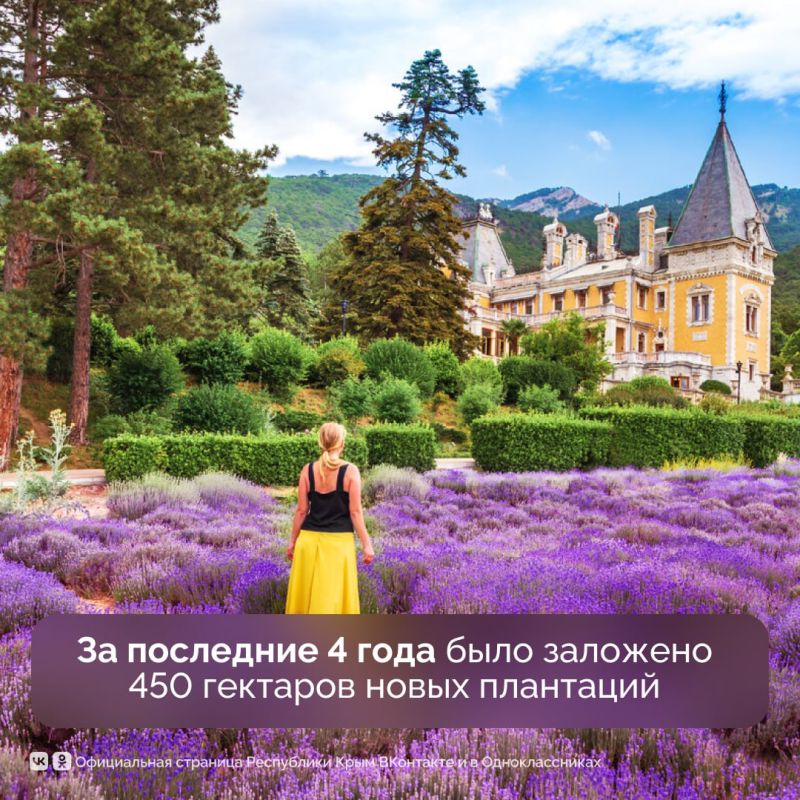 Эфиромасличной отрасли Крыма — 95 лет Эфиромасличной отрасли Крыма — 95 лет
