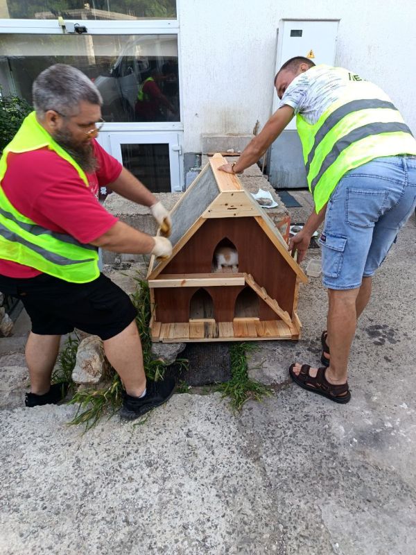 ����� ��������: ��� ���� ������ ��� �������� � ������