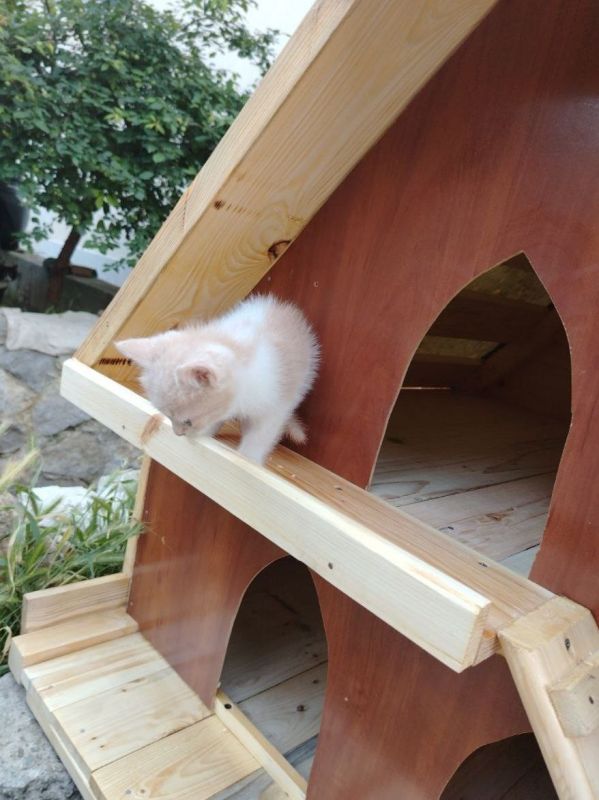 ��� ���� ����� ��� ������� �������� � ������� ���� � ��� ������������