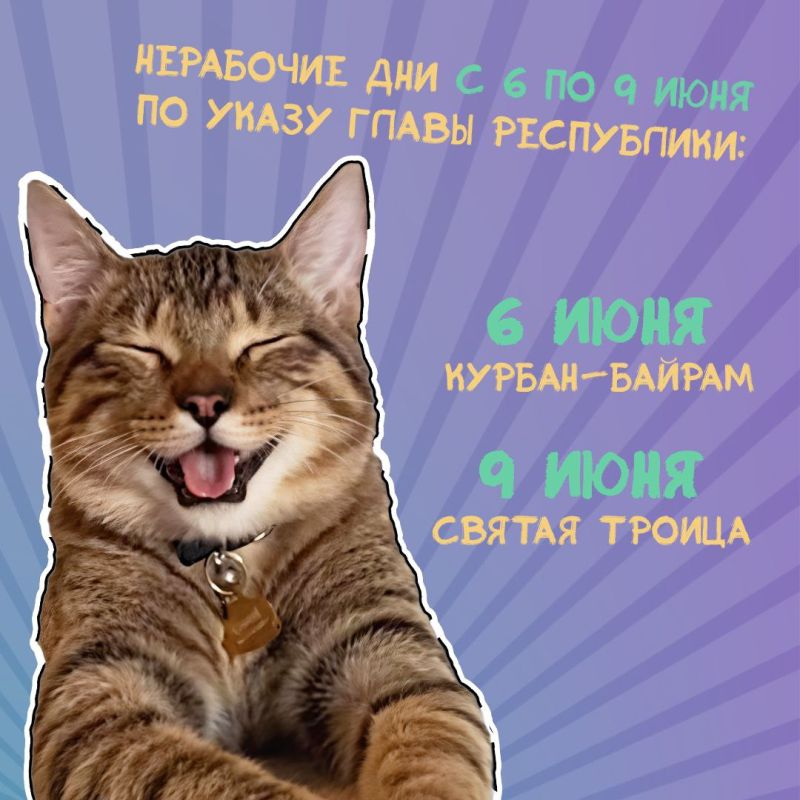 Кто много работает, тот много отдыхает Кто много работает, тот много отдыхает