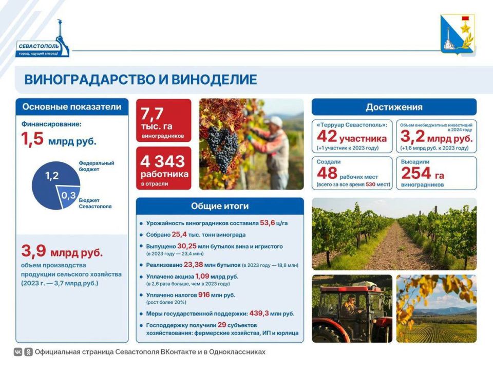 Главное в сфере молодежной политики Главное в сфере молодежной политики