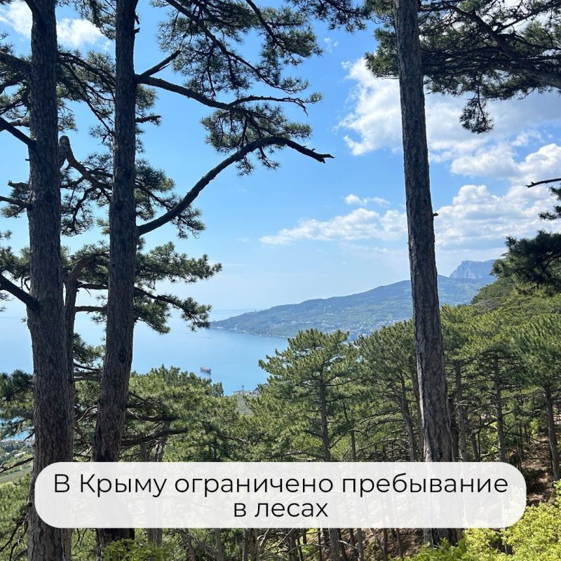 На территории земель лесного фонда Республики Крым продлено ограничение пребывания граждан в лесах и въезда в них транспортных средств