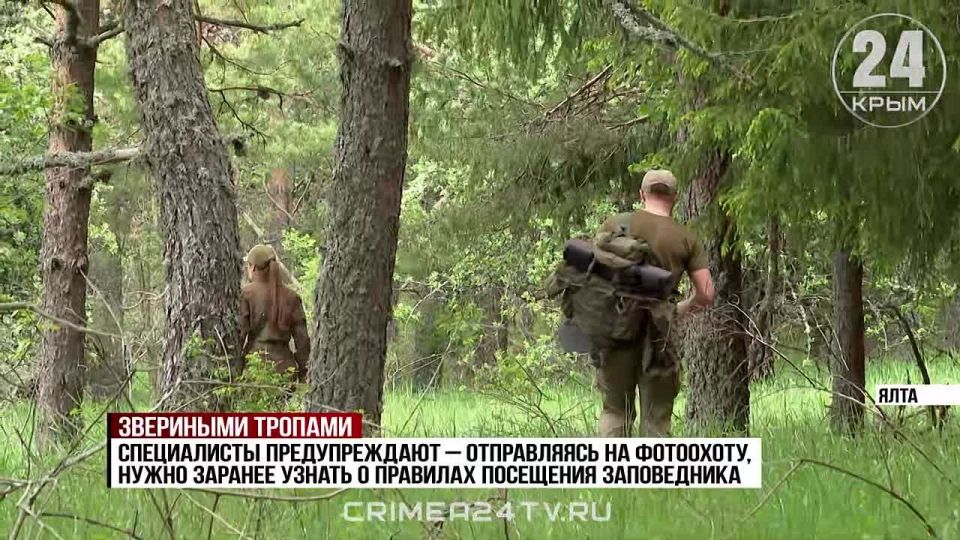 Найти своих фотомоделей на горных тропах: как сотрудники заповедников следят за дикими животными