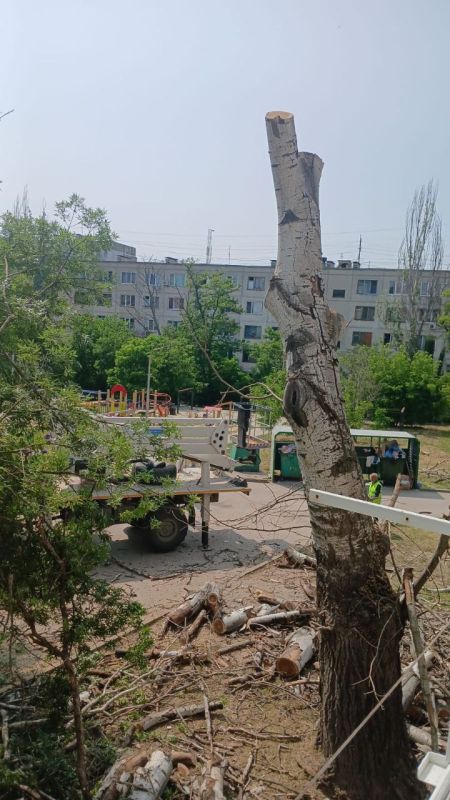 В Керчи продолжается работа по сносу аварийных деревьев В Керчи продолжается работа по сносу аварийных деревьев