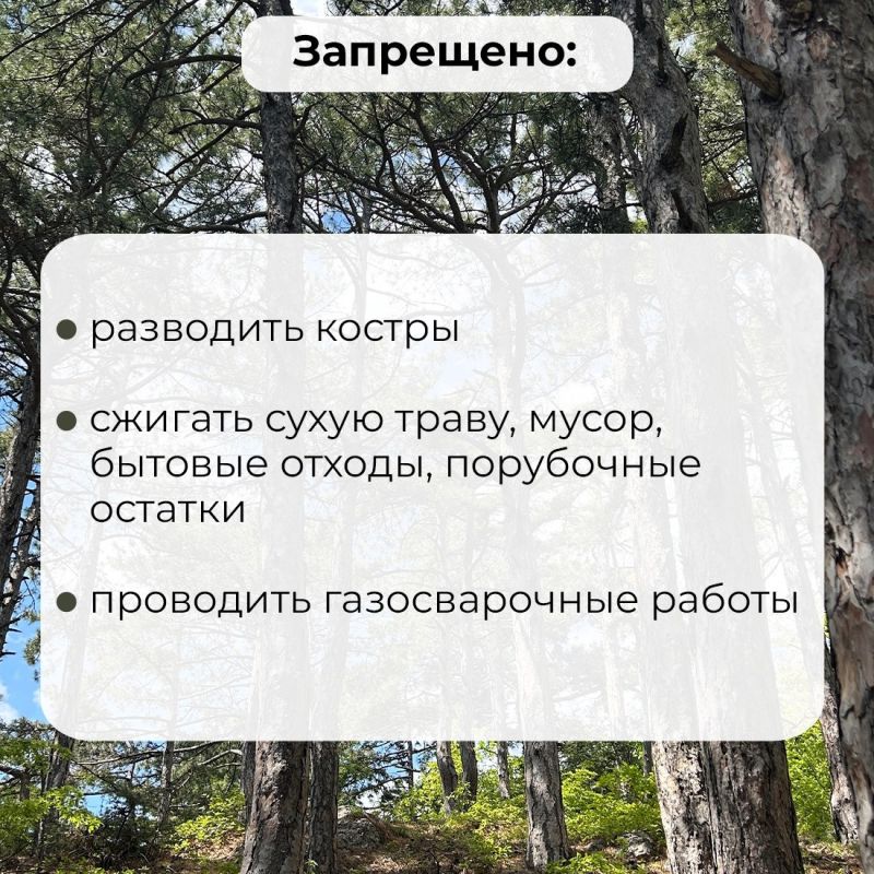 На территории земель лесного фонда Республики Крым продлено ограничение пребывания граждан в лесах и въезда в них транспортных средств На территории земель лесного фонда Республики Крым продлено ограничение пребывания граждан в лесах и въезда в них транспортных средств