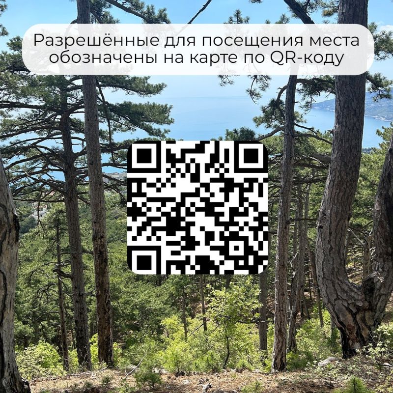 В Крыму продлили ограничение на посещение лесов — Минприроды Крыма В Крыму продлили ограничение на посещение лесов — Минприроды Крыма