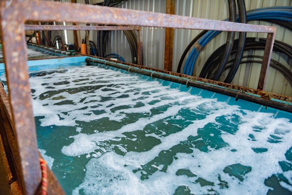 Михаил Развожаев: В Севастополе активно создается первый в истории нашего города собственный устричный питомник! Это не просто ферма, это стратегический шаг к полной самодостаточности в аквакультуре Михаил Развожаев: В Севастополе активно создается первый в истории нашего города собственный устричный питомник! Это не просто ферма, это стратегический шаг к полной самодостаточности в аквакультуре