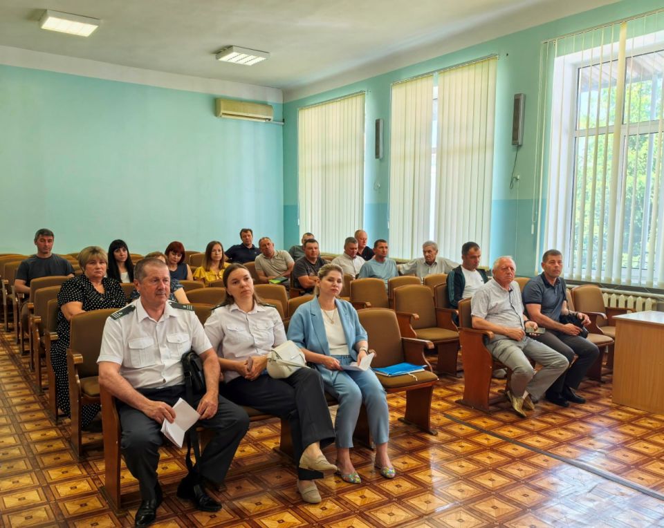 ��������� ��������: ������ ������� � ������������� ��������� � ����������������������������