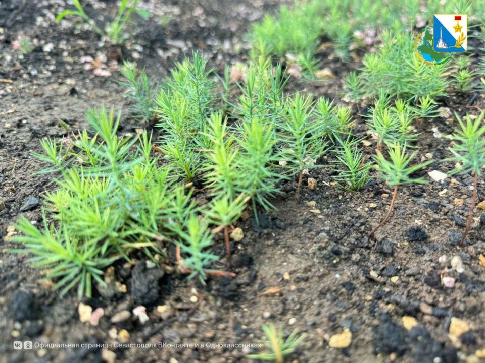 Заботимся о природе. Поздравление с Днем эколога и Всемирным днем окружающей среды опубликовал на своей официальной странице губернатор Михаил Развожаев Заботимся о природе. Поздравление с Днем эколога и Всемирным днем окружающей среды опубликовал на своей официальной странице губернатор Михаил Развожаев