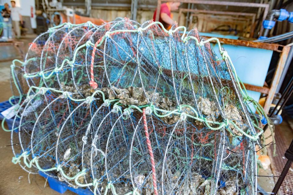 Михаил Развожаев: В Севастополе активно создается первый в истории нашего города собственный устричный питомник! Это не просто ферма, это стратегический шаг к полной самодостаточности в аквакультуре Михаил Развожаев: В Севастополе активно создается первый в истории нашего города собственный устричный питомник! Это не просто ферма, это стратегический шаг к полной самодостаточности в аквакультуре