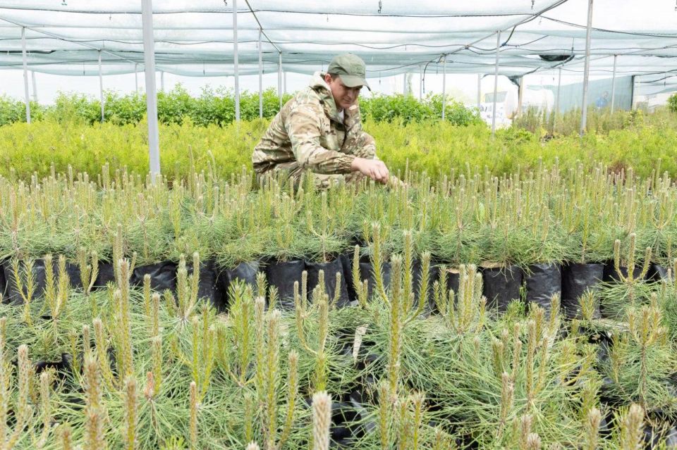 В Крыму около 2,2 млрд рублей потратят в 2025 году на нацпроект «Экология»