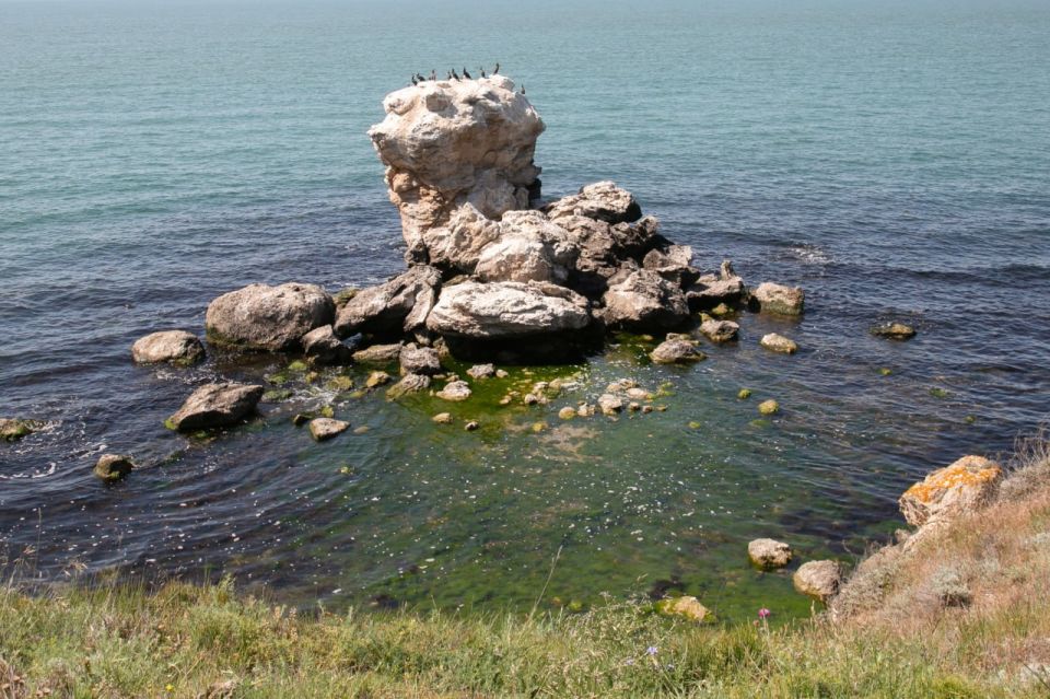 Сергей Аксёнов: Природа Крыма уникальна и разнообразна Сергей Аксёнов: Природа Крыма уникальна и разнообразна