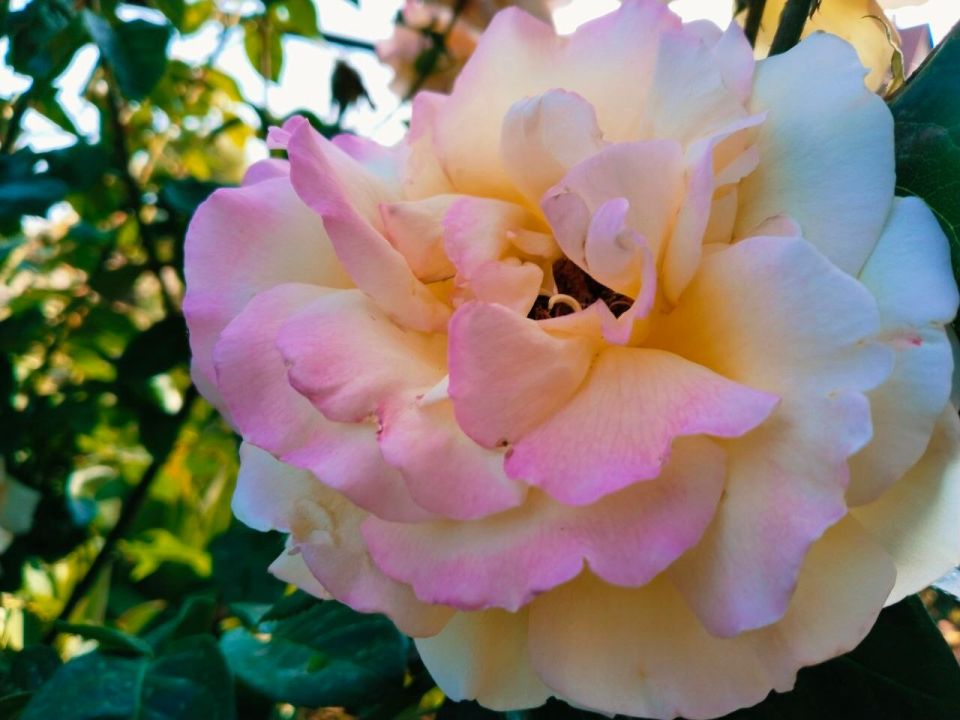 � ������ �����, �������!. ������� ����� �������� ���� ������! � ����� ������ ��������, t +29, ����� ���-���������