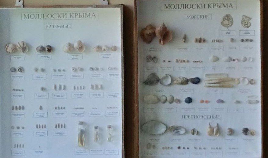 Эколого-биологический центр при поддержке Минобразования Крым совместно с Институтом биохимических технологий, экологии и фармации Крымского федерального университета имени В. И. Вернадского провел республиканский... Эколого-биологический центр при поддержке Минобразования Крым совместно с Институтом биохимических технологий, экологии и фармации Крымского федерального университета имени В. И. Вернадского провел республиканский...