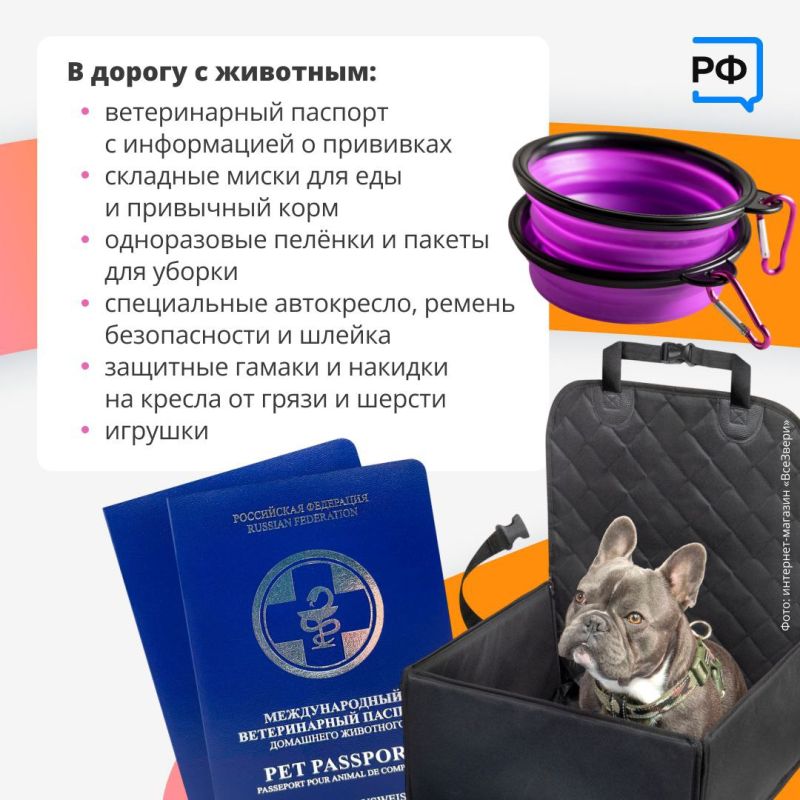 Едете в отпуск на машине? Сохраняйте наш чек-лист и делитесь с друзьями, которые готовятся к автопутешествию! Едете в отпуск на машине? Сохраняйте наш чек-лист и делитесь с друзьями, которые готовятся к автопутешествию!