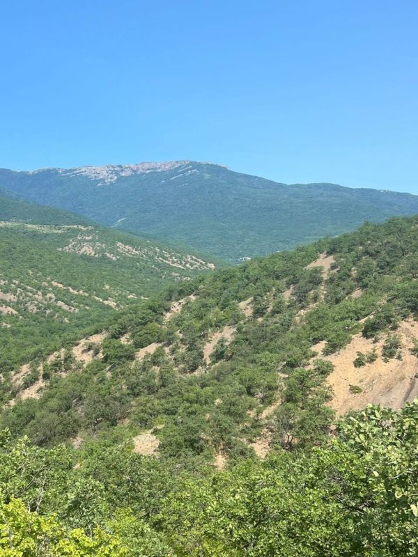 Руководитель Росводресурсов обсудил с властями Крыма развитие водохозяйственного комплекса республики Руководитель Росводресурсов обсудил с властями Крыма развитие водохозяйственного комплекса республики