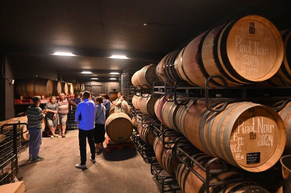 ����� ������������ �������� ������� ���������� �� ������ �������� ����������� � ��������