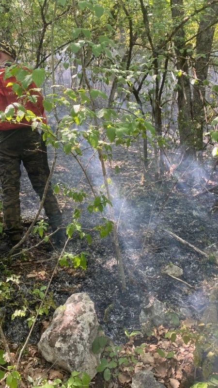 В Крыму локализовали лесной пожар в районе горы Бурун-Кая В Крыму локализовали лесной пожар в районе горы Бурун-Кая