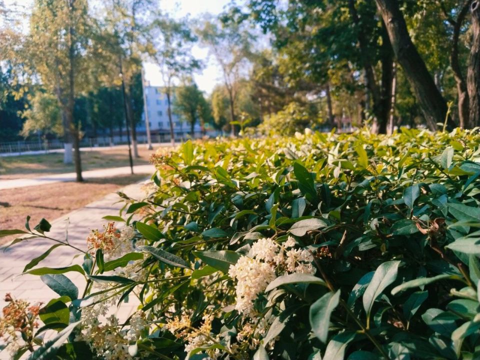 � ������ �����, �������!. ������ ����������� ����������! ������� � ����� ������ ��������, t +31, ����� ��������