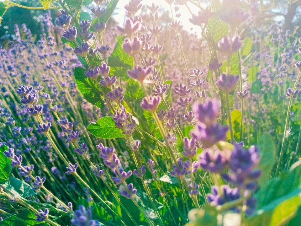 � ������ �����, �������!. ������ �������������� ������ ������! ������� � ����� ������ ��������, t +32, ����� ������-��������