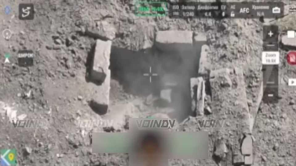  29   ,   FPV-    :
