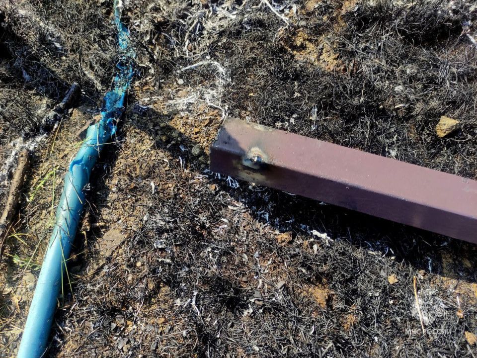 Житель Алушты чуть не спалил лес Житель Алушты чуть не спалил лес