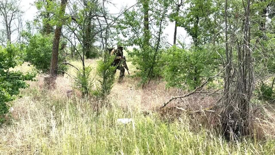 В Запорожской области операторы БПЛА совместно с артиллеристами уничтожили «опорники» врага
