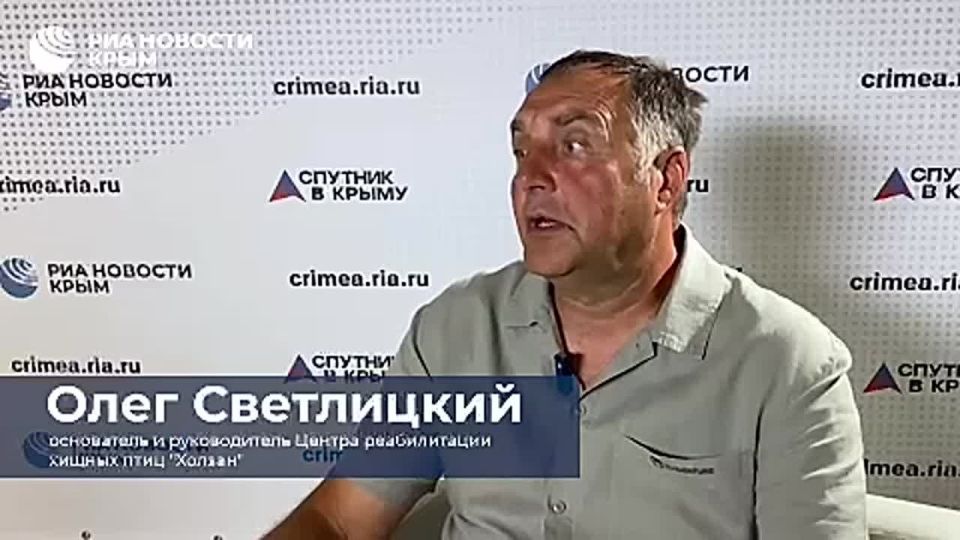 Малыши хищных птиц в Крыму часто нуждаются в помощи