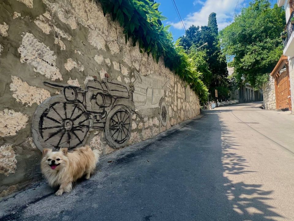 ����� ��������: ���� ��������� ������. � ������ ����� ������ ������ ����� �������� ����� �������� ��������� ��������������� ���������������� ��������� ����� �����