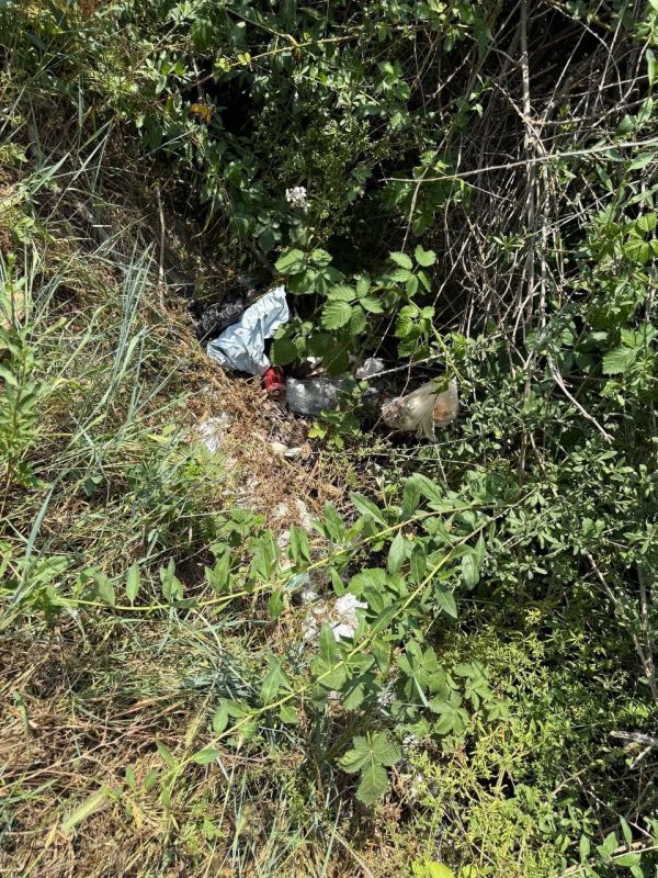 Валентина Варава: Поступил сигнал о несанкционированном выбросе мусора вдоль русла нашей реки Валентина Варава: Поступил сигнал о несанкционированном выбросе мусора вдоль русла нашей реки