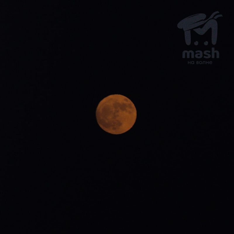 Загадка на ночь: что звучит как десерт, а выглядит как магия? Загадка на ночь: что звучит как десерт, а выглядит как магия?